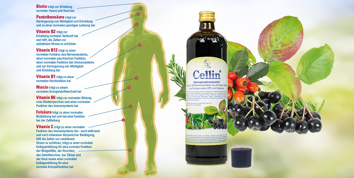 Wo wirkt Cellin mit Vitamine für den ganzen Körper